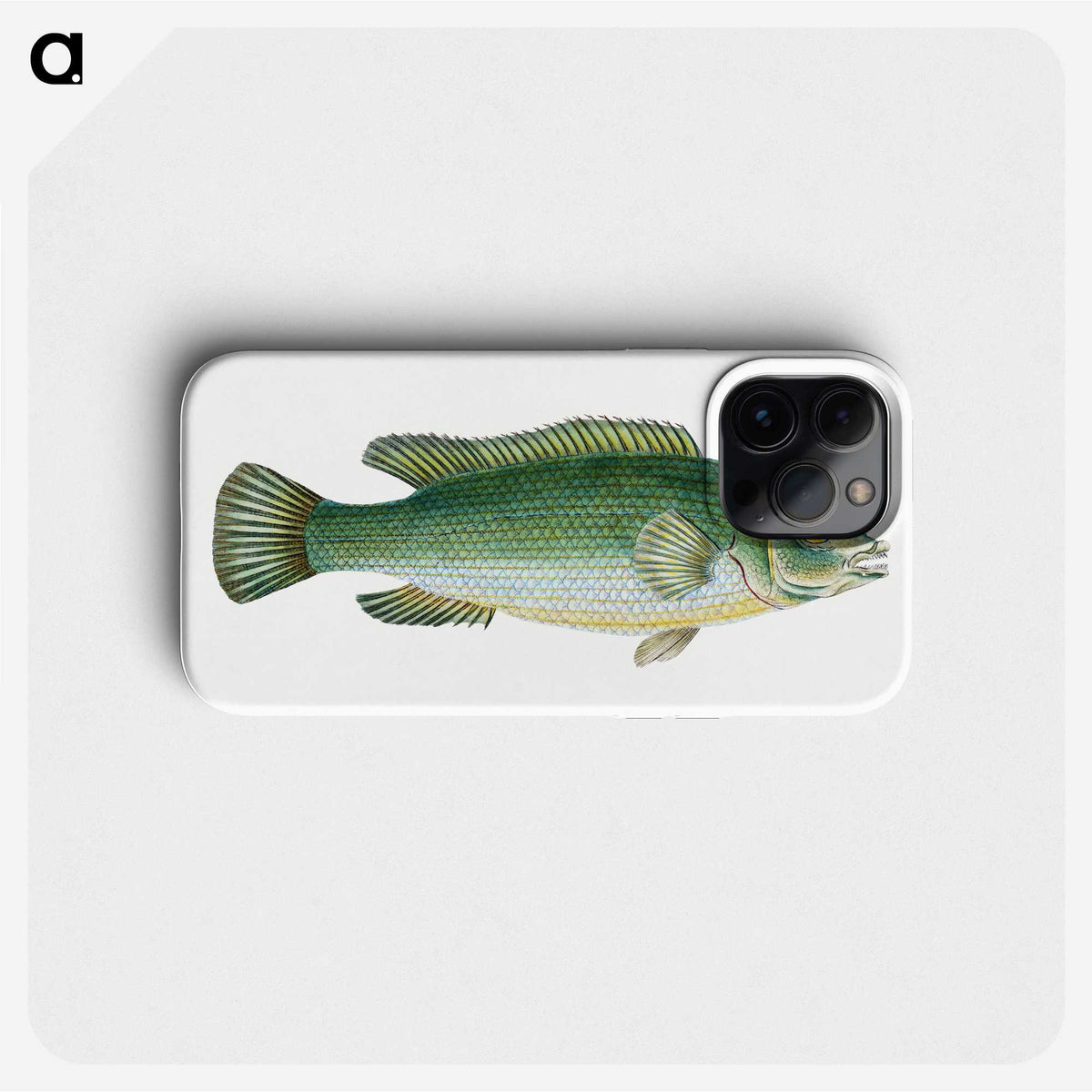 1-50_The-Natural-History-of-British-Fishes_phone