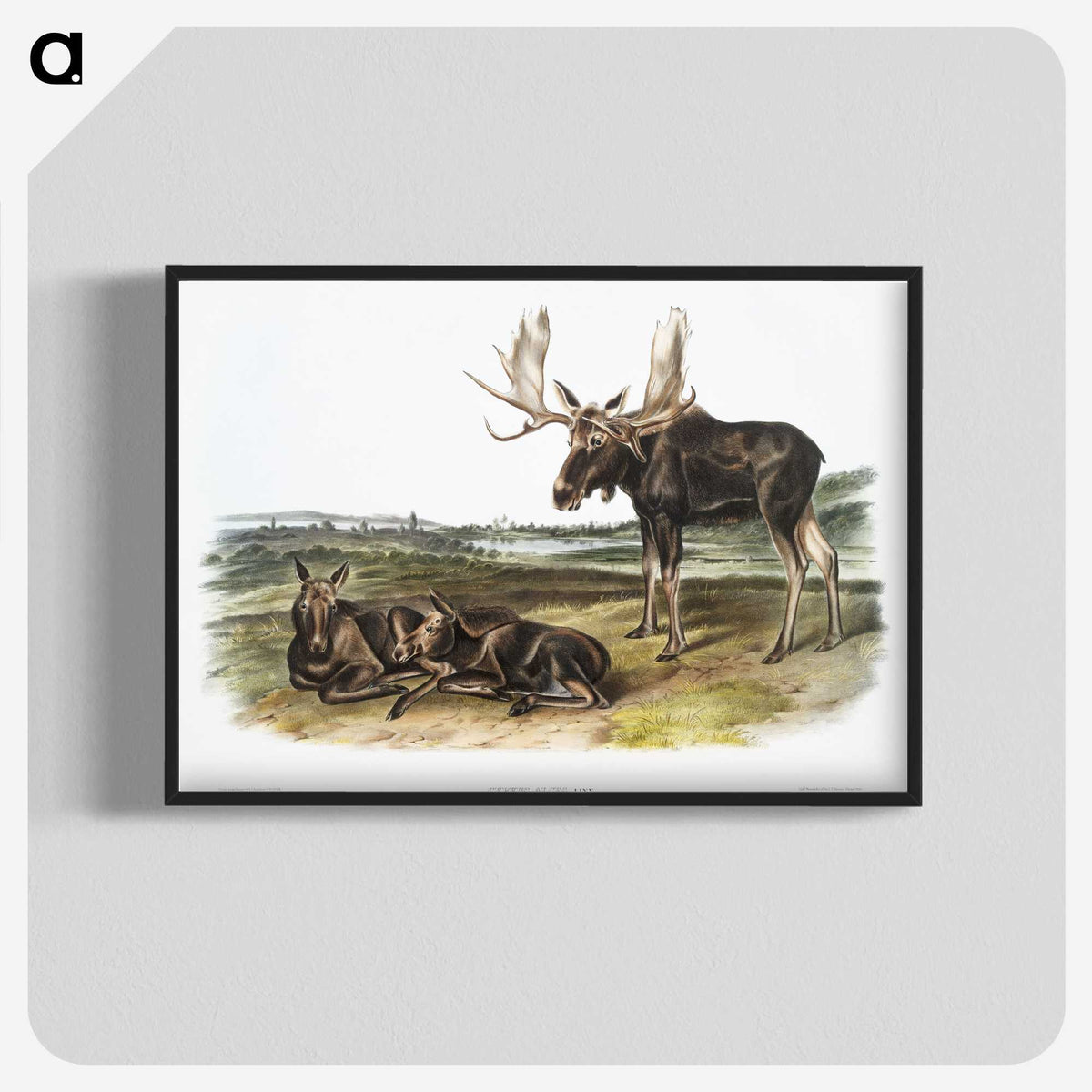 1-50_The-Viviparous-Quadrupeds_blk-crop