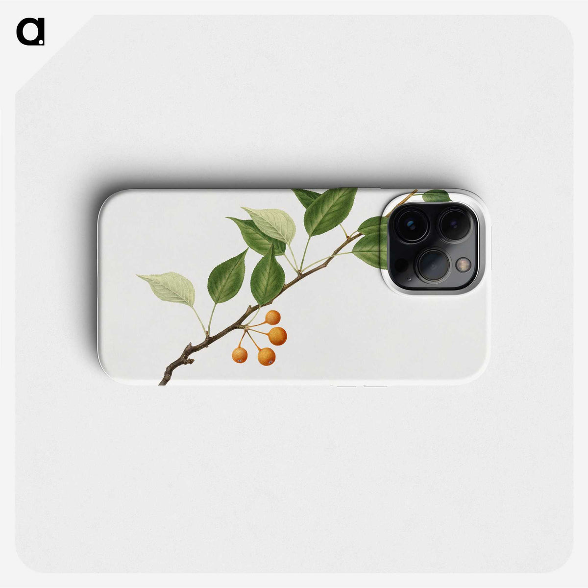 1-50_USDA-Watercolor-Fruit-Painting-Collection_phone