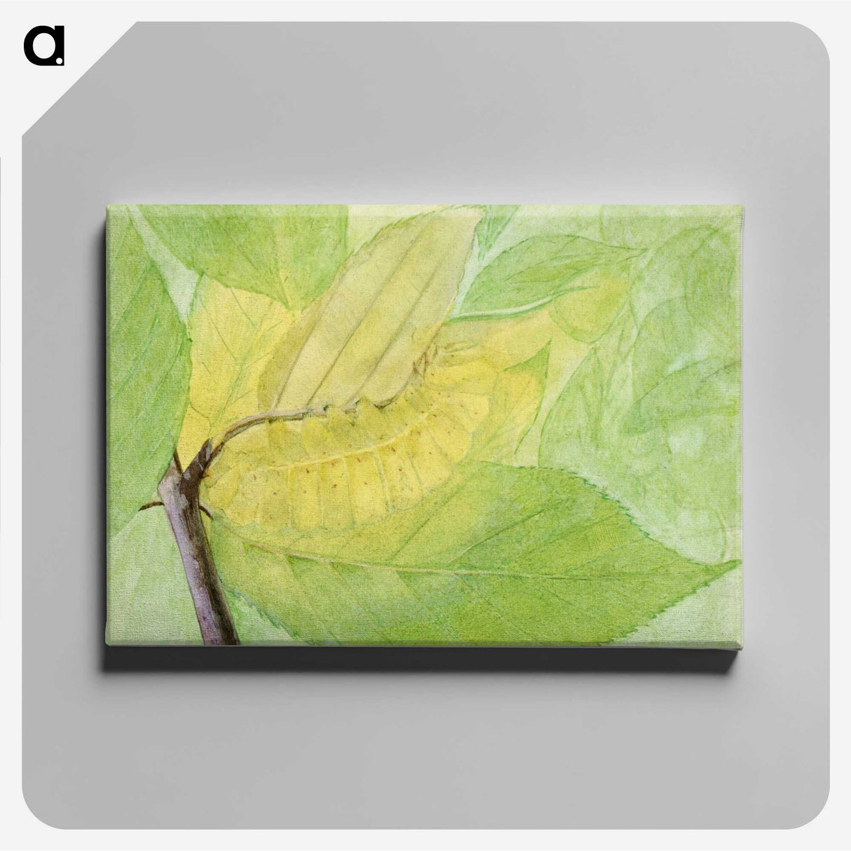 1-51_Abbott-Handerson-Thayer_canvas