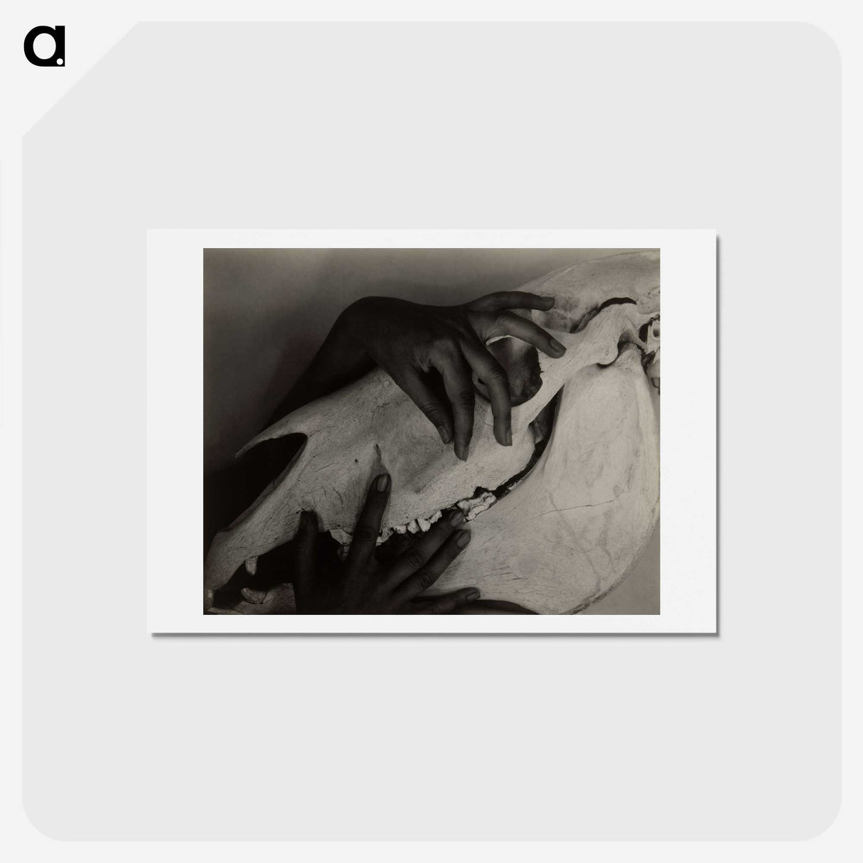 1-51_Alfred-Stieglitz_hagaki