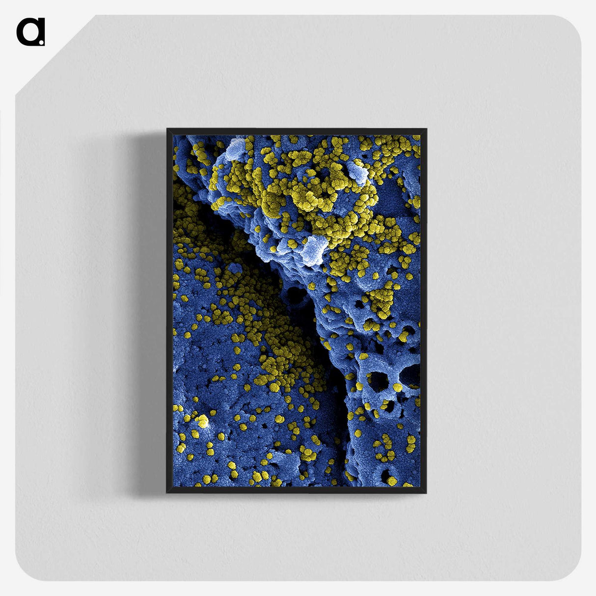 1-51_COVID-19_blk-crop