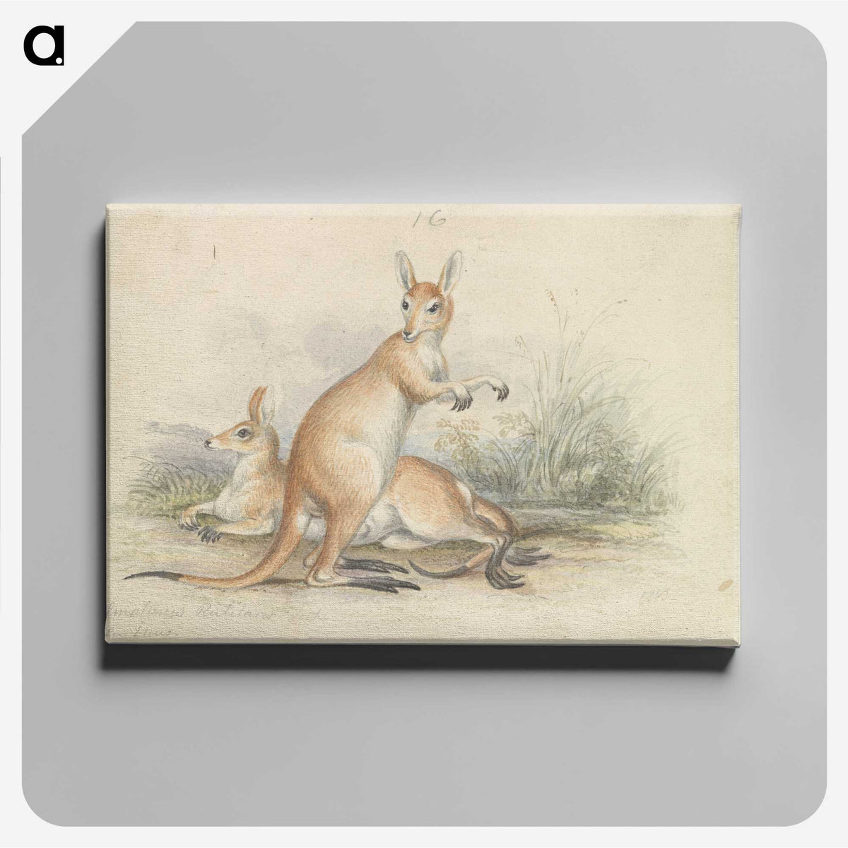 1-51_Charles-Hamilton-Smith_canvas