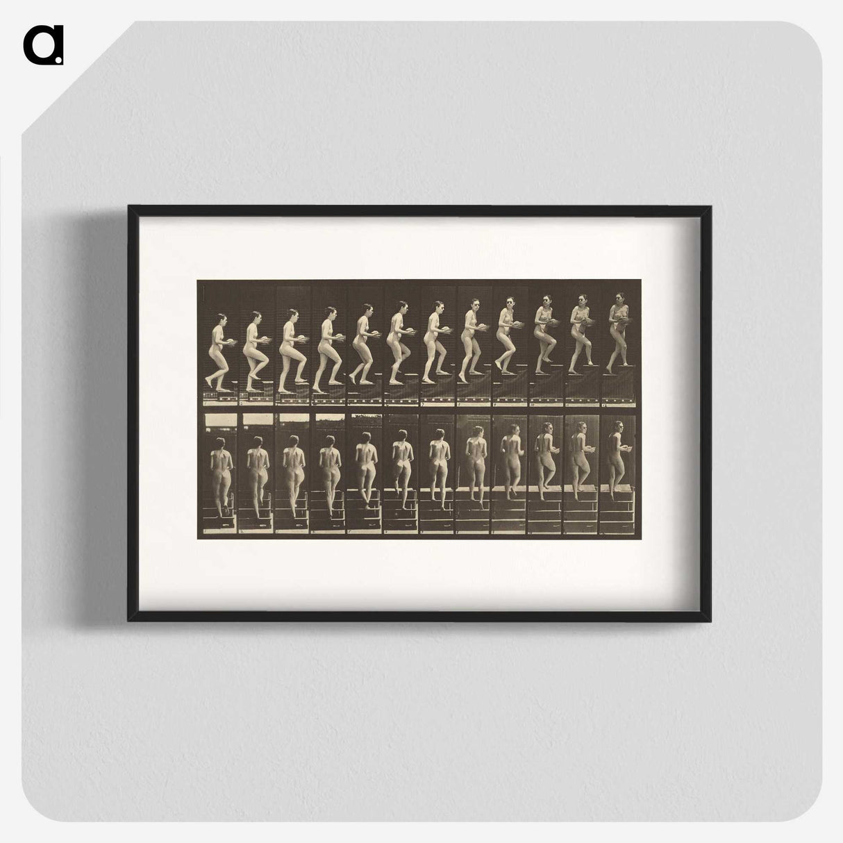 1-51_Eadweard-Muybridge_blk