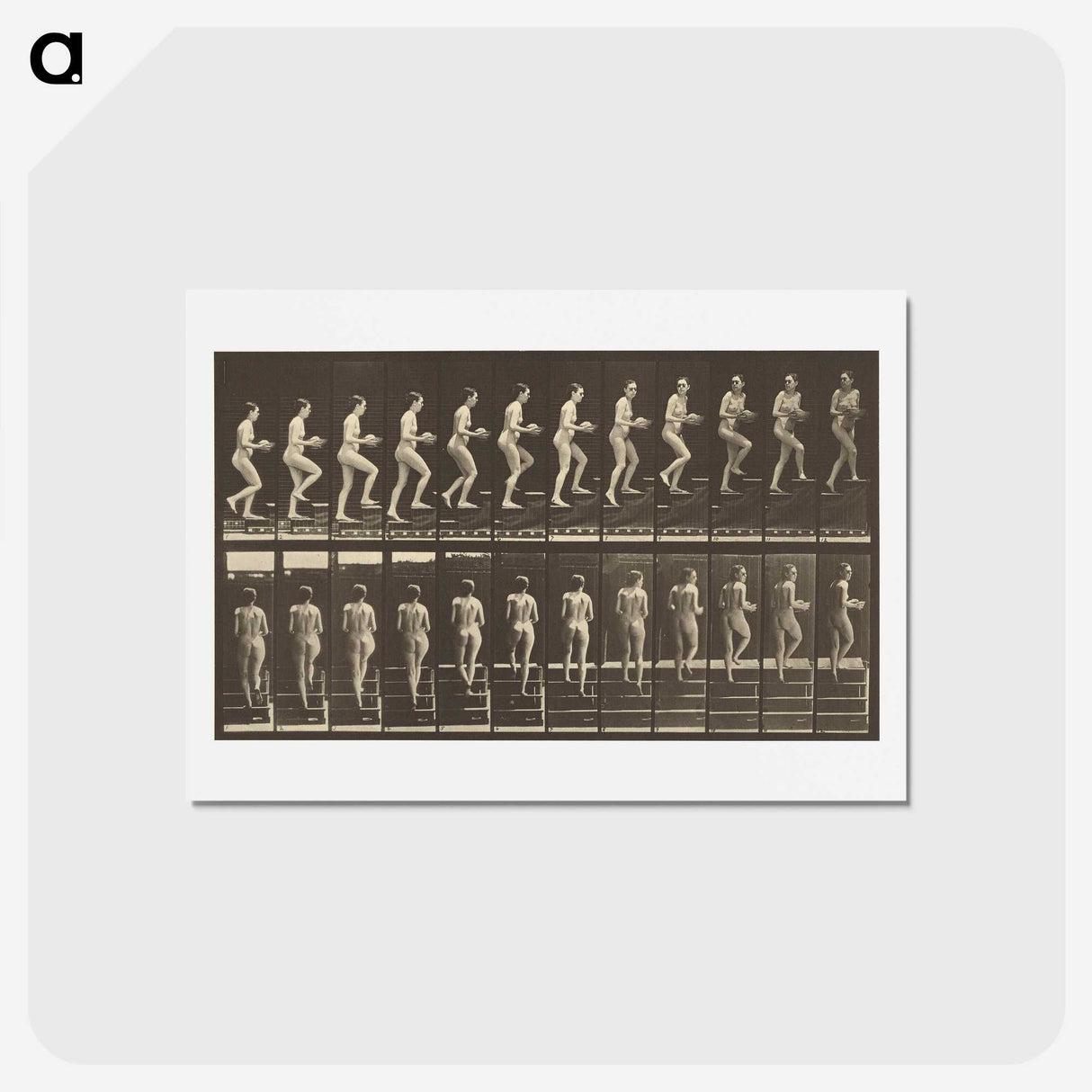 1-51_Eadweard-Muybridge_hagaki