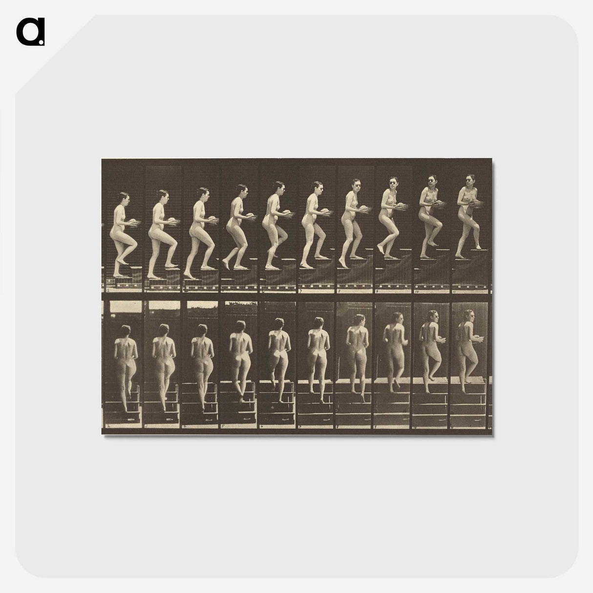 1-51_Eadweard-Muybridge_postcard