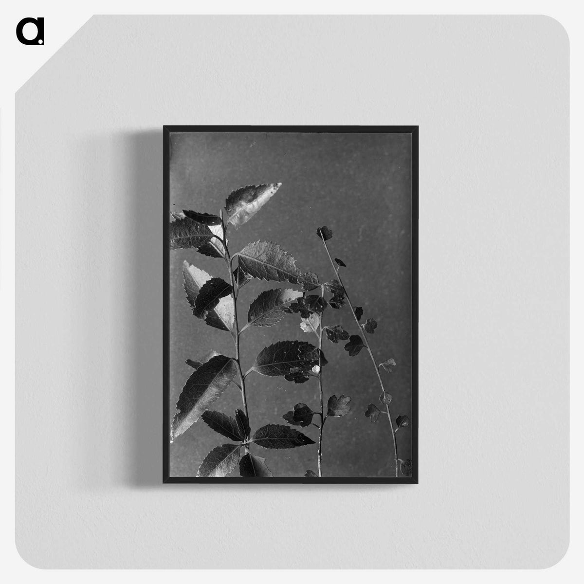 1-51_Frederick-Charles-Brockett_blk-crop