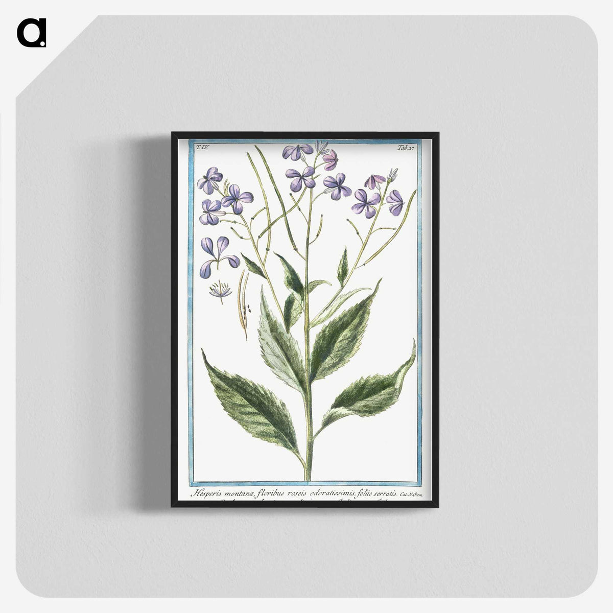 1-51_Hortus-Romanus-Botanical-Plates_blk-crop