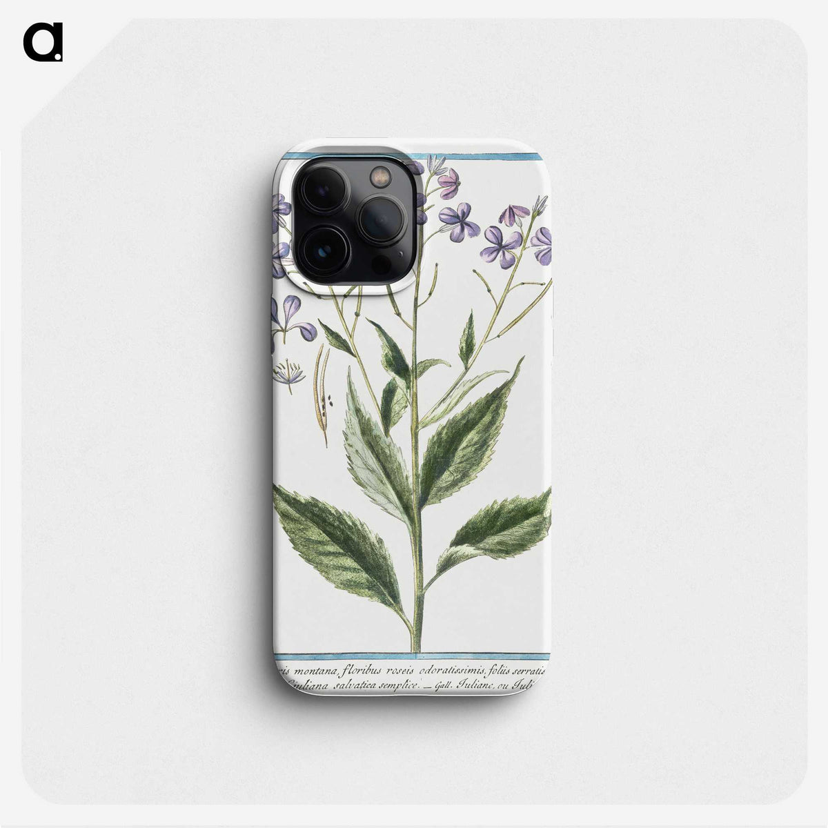 1-51_Hortus-Romanus-Botanical-Plates_phone