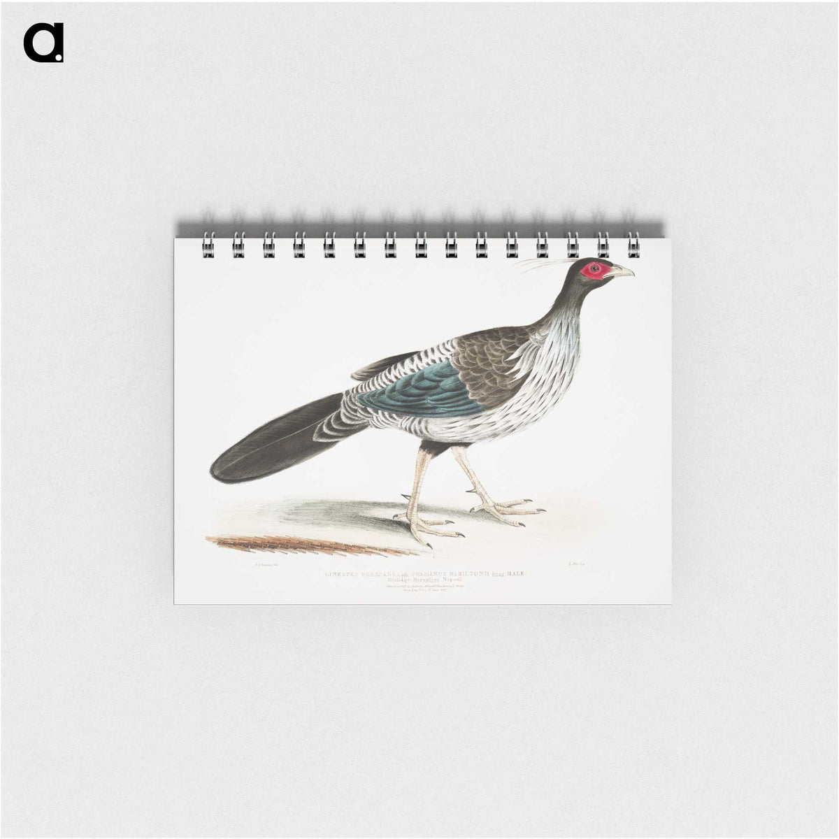 1-51_Indian-Zoology_memo