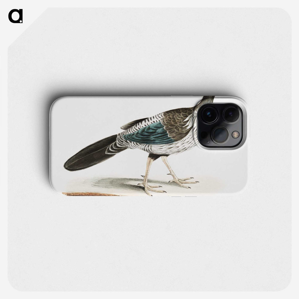 1-51_Indian-Zoology_phone