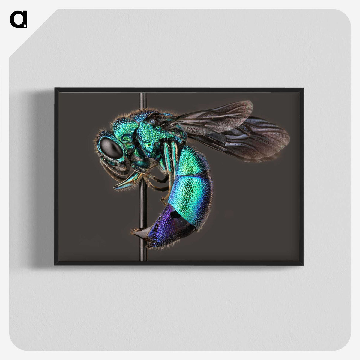 1-51_Insects-Unlocked-Project_blk-crop