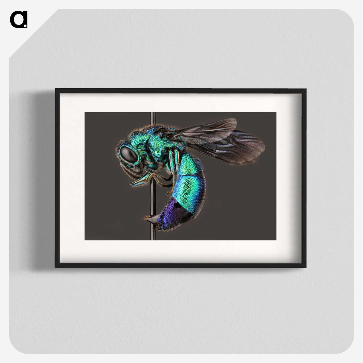 1-51_Insects-Unlocked-Project_blk