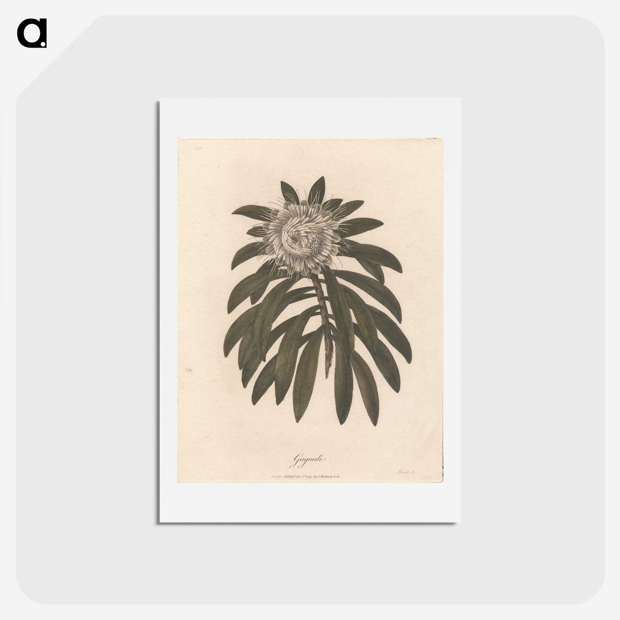 1-51_James-Heath_hagaki