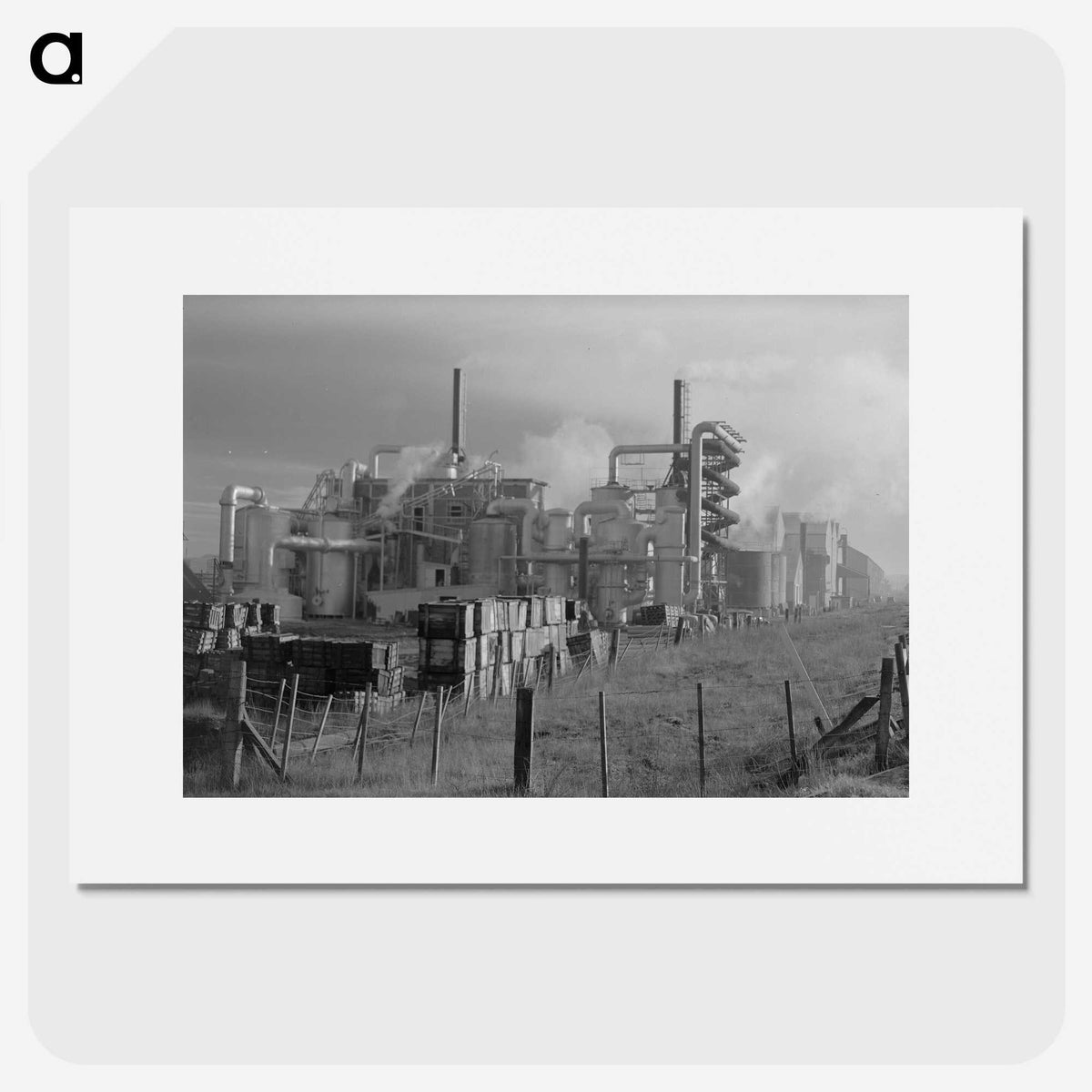 1-51_James-Walter-Chapman-Taylor_picture