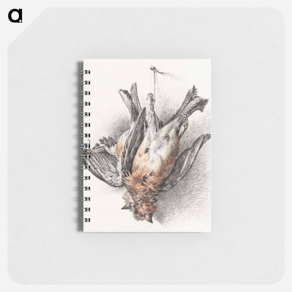 Two dead birds - ジャン ベルナール Memo.