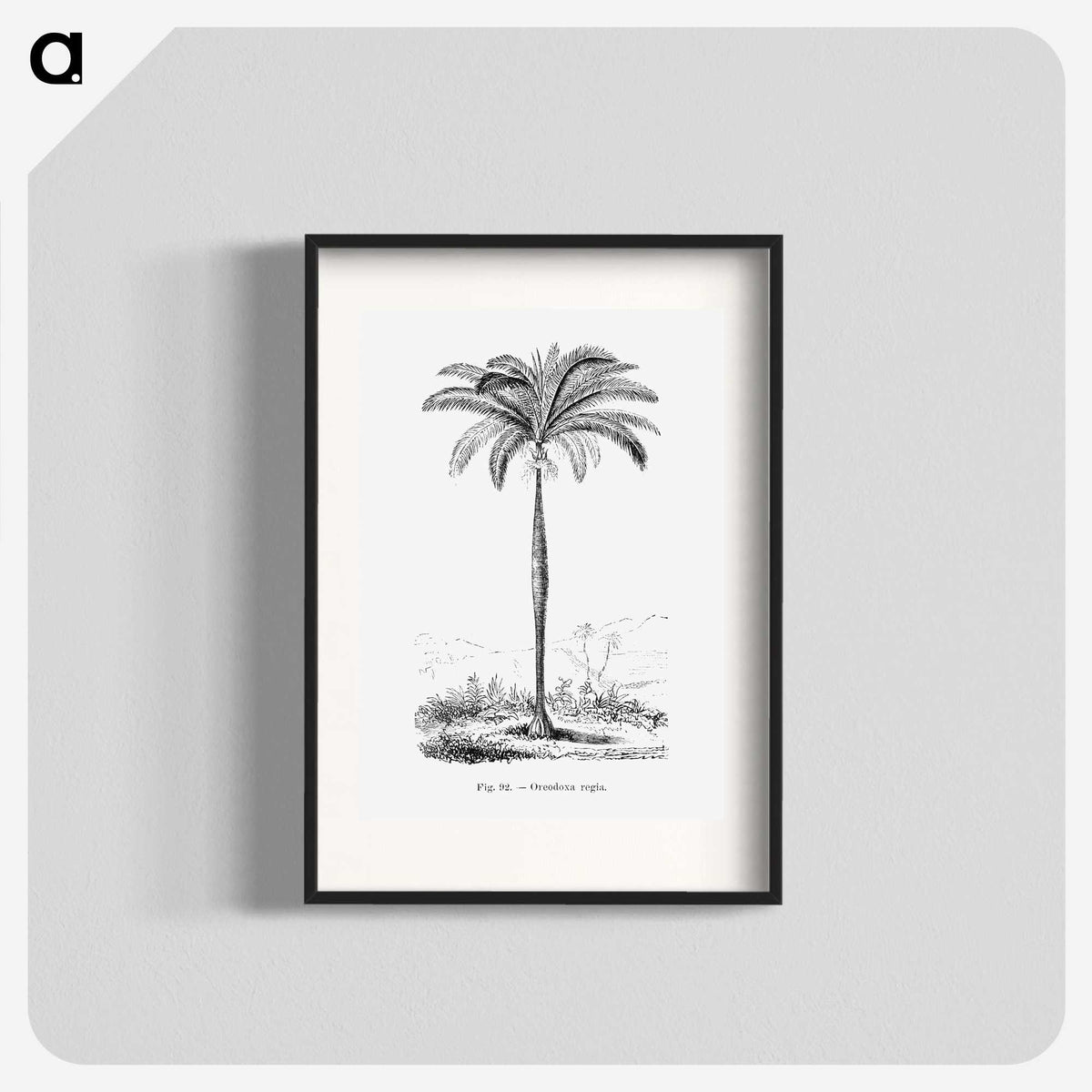1-51_Les-Palmiers-Histoire-Iconographique_blk