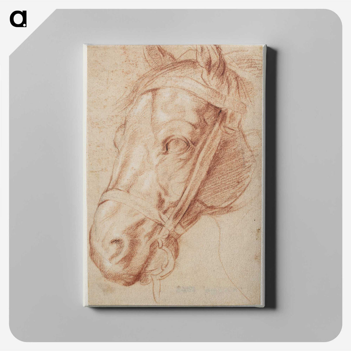 1-51_Peter-Paul-Rubens_canvas