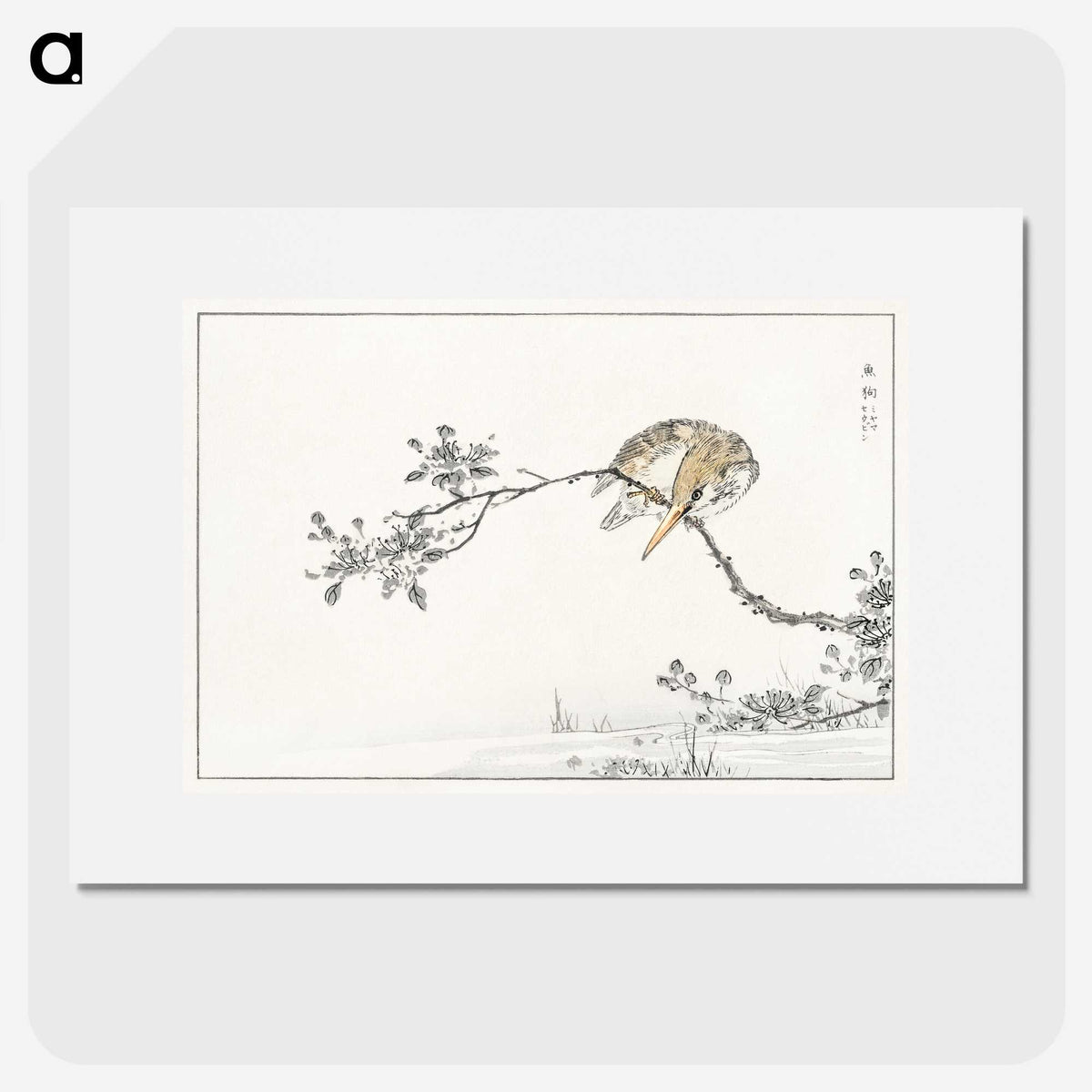 1-51_Pictorial-Monograph-of-Birds_picture
