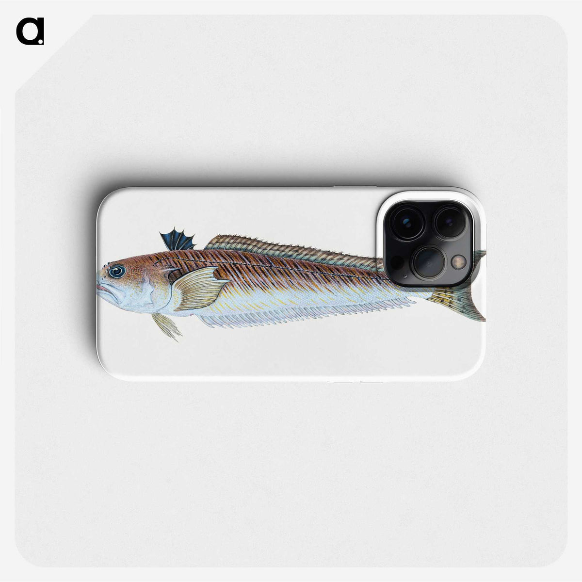 1-51_The-Natural-History-of-British-Fishes_phone