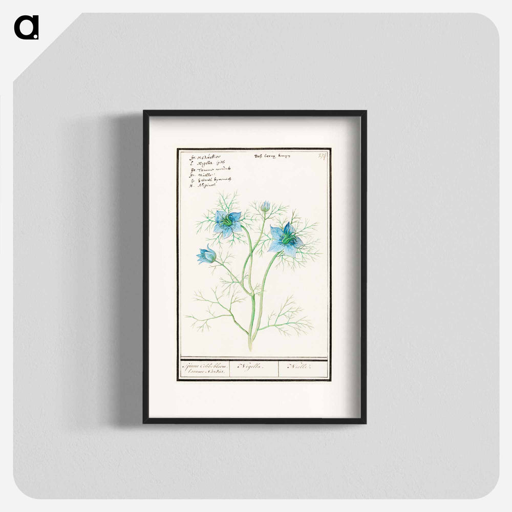 Damsel-in-the-green - アンセルムス ボエティウス デ ブート Poster.