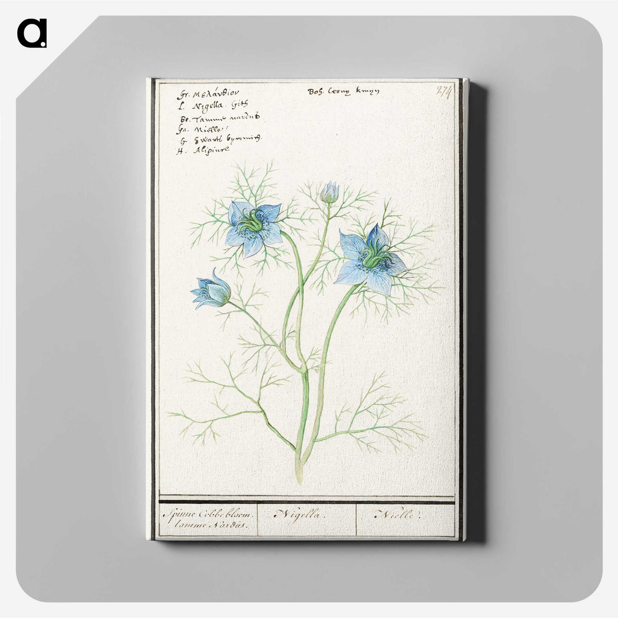 1-52_Anselmus-Boetius-de-Boodt_canvas