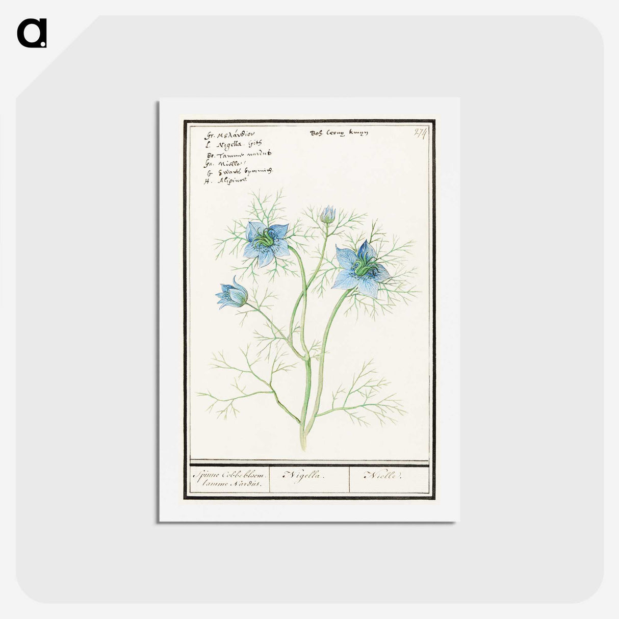 1-52_Anselmus-Boetius-de-Boodt_hagaki
