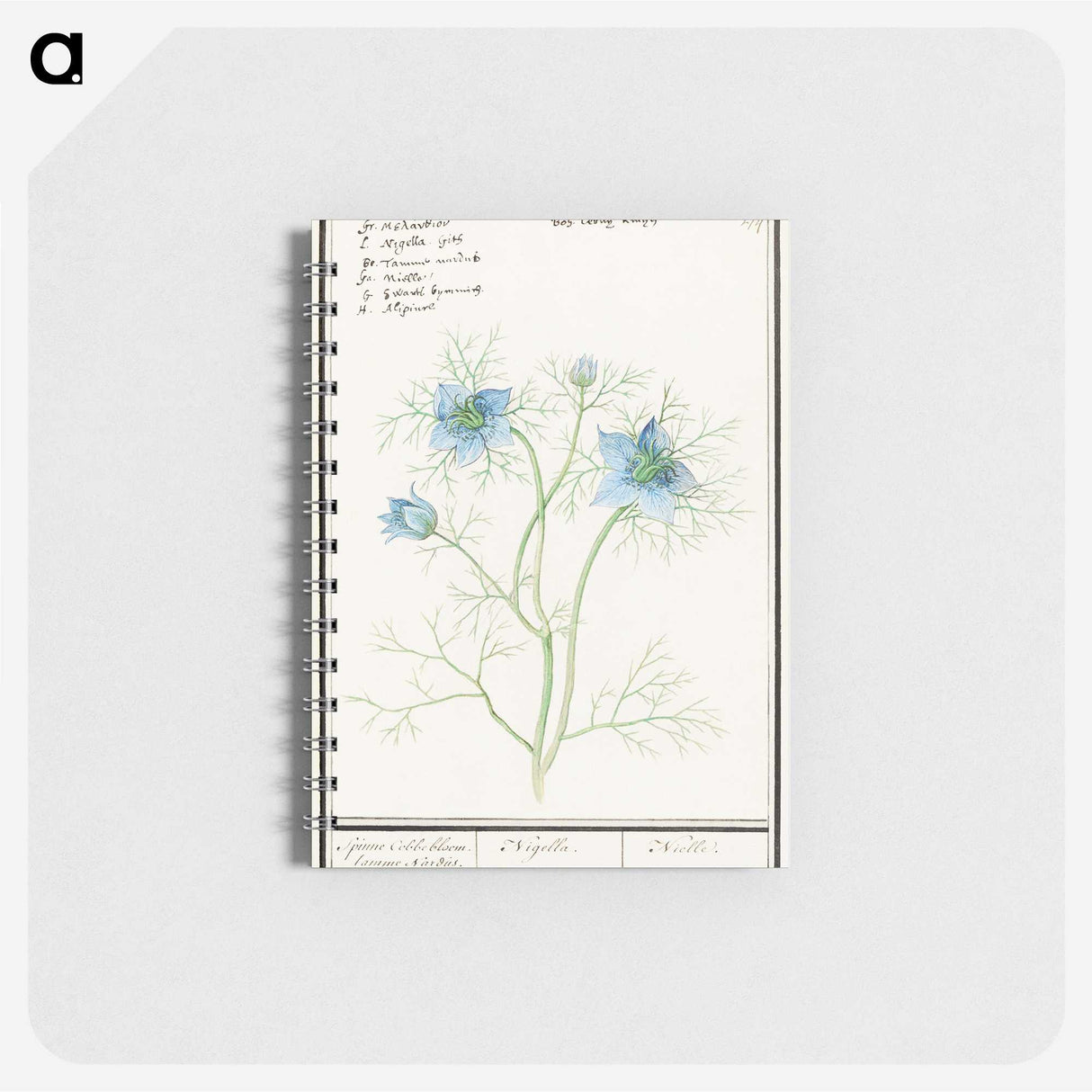 1-52_Anselmus-Boetius-de-Boodt_memo