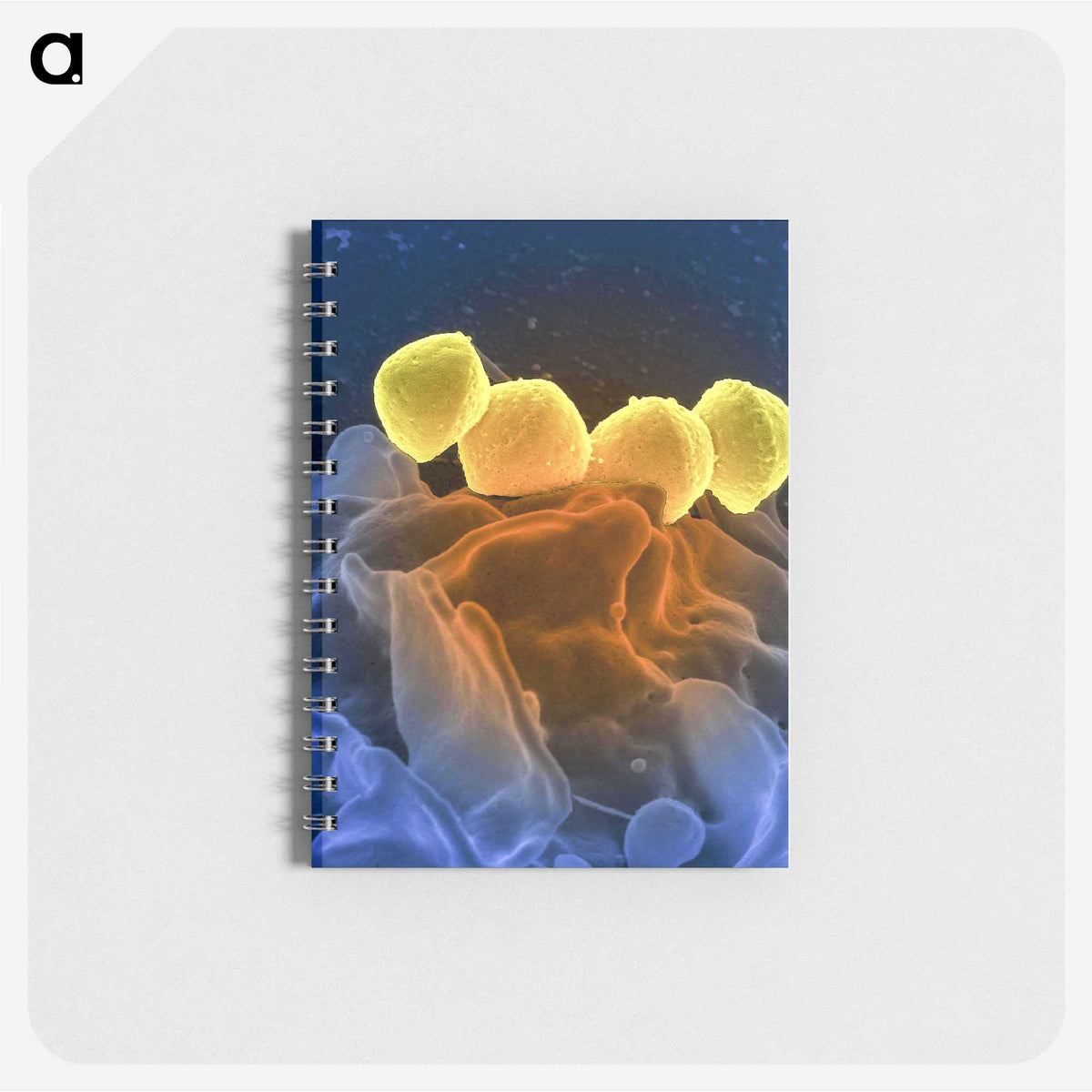 1-52_COVID-19_memo
