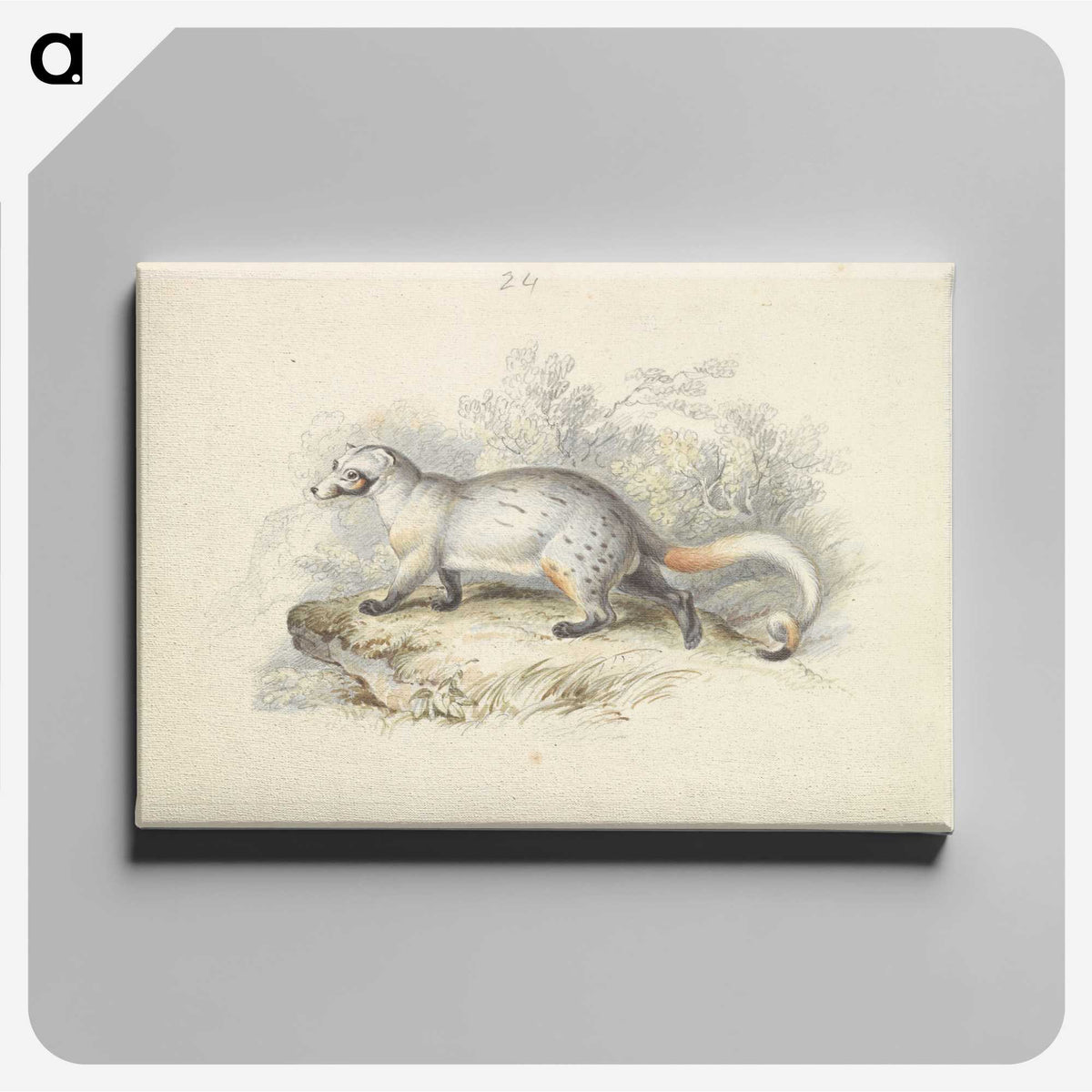 1-52_Charles-Hamilton-Smith_canvas