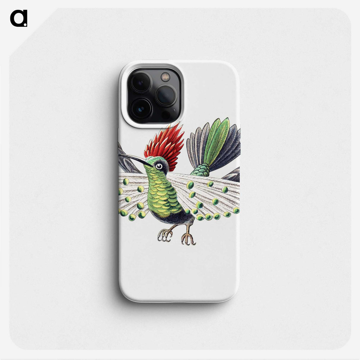 1-52_Ernst-Haeckel_phone