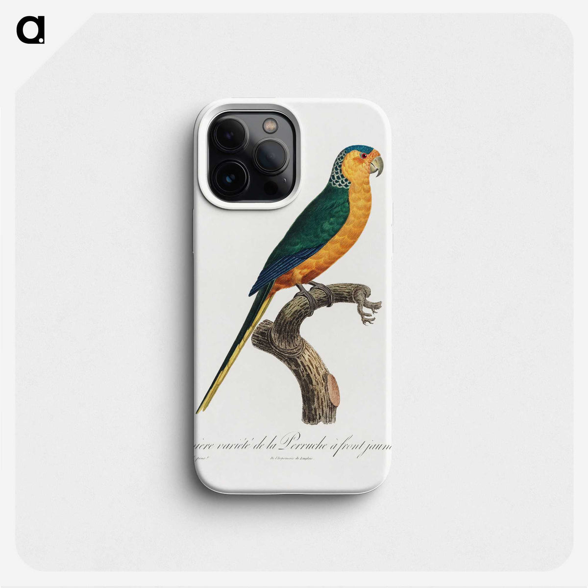 1-52_Francois-Levaillant_phone