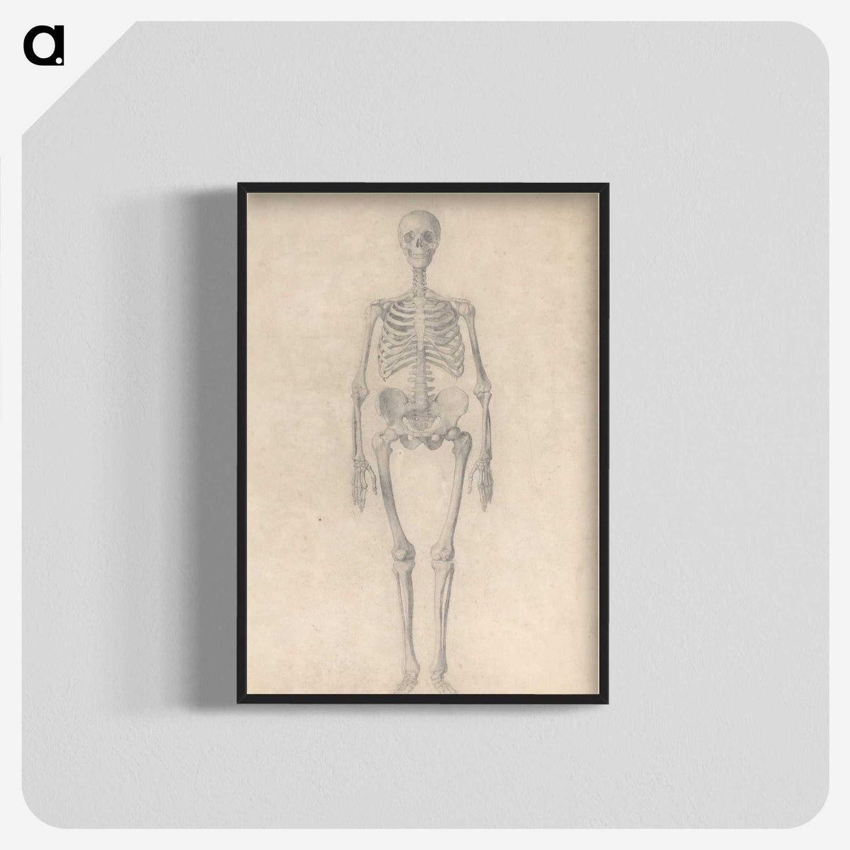 1-52_George-Stubbs_blk-crop