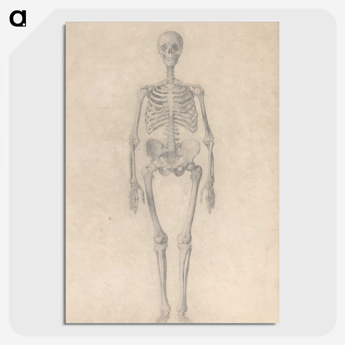 1-52_George-Stubbs_picture-crop