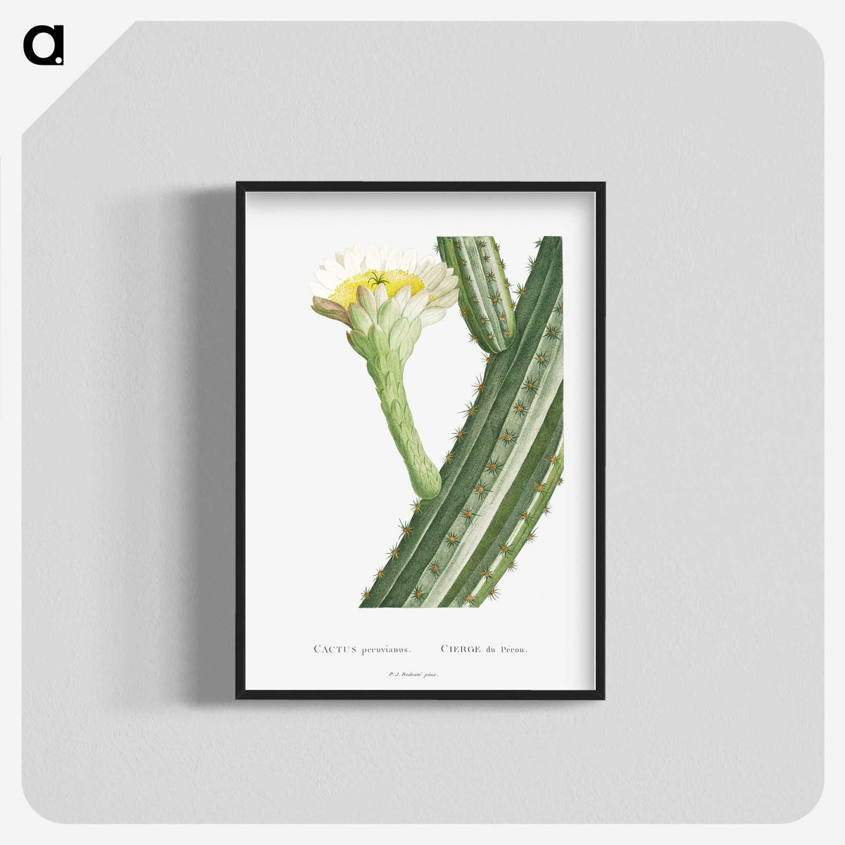 1-52_Histoire-des-Plantes-Grasses_blk-crop