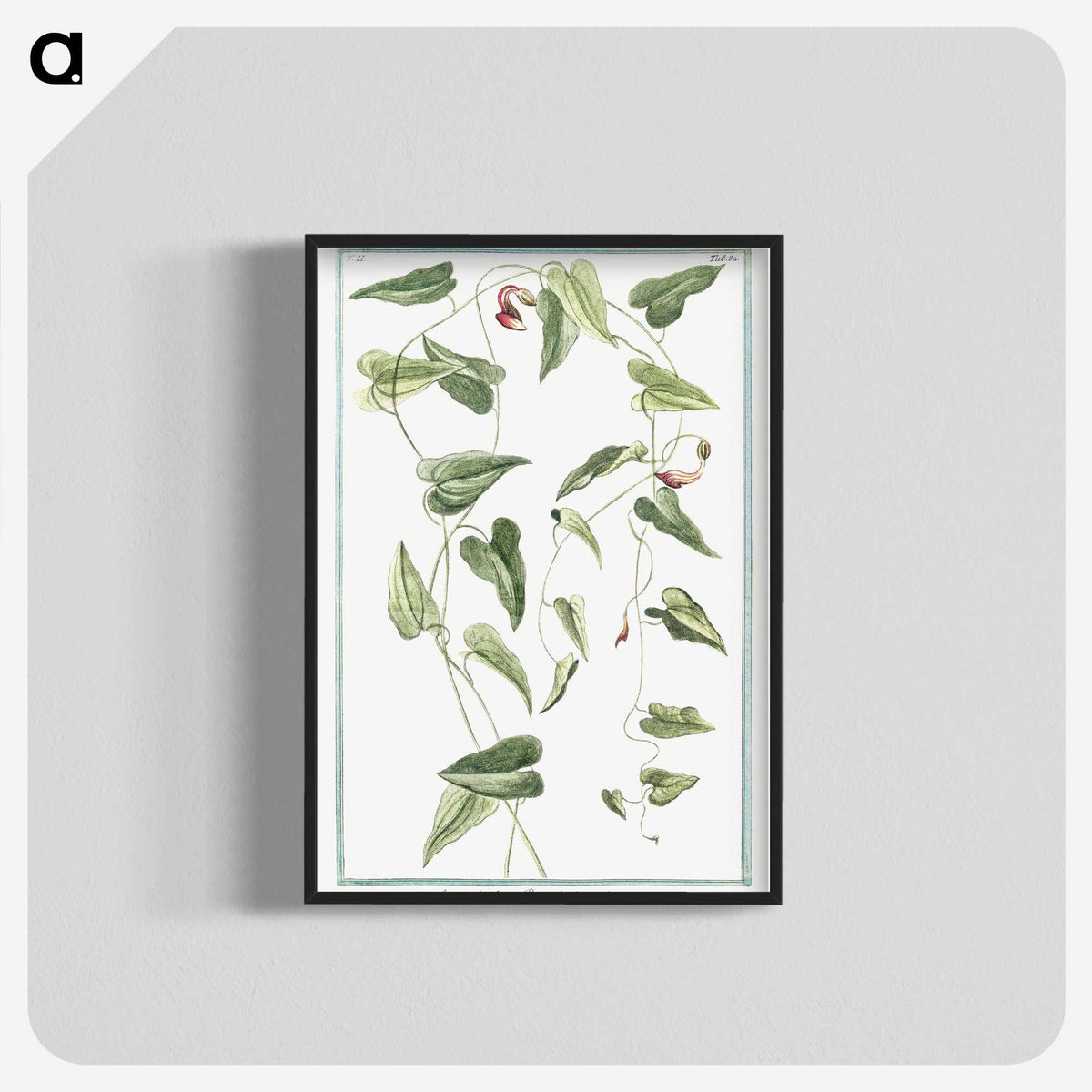 1-52_Hortus-Romanus-Botanical-Plates_blk-crop