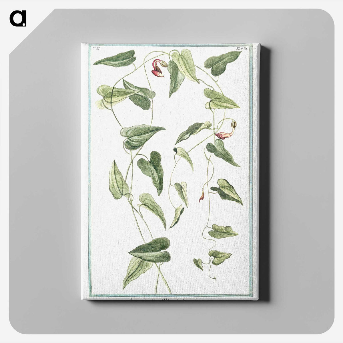1-52_Hortus-Romanus-Botanical-Plates_canvas