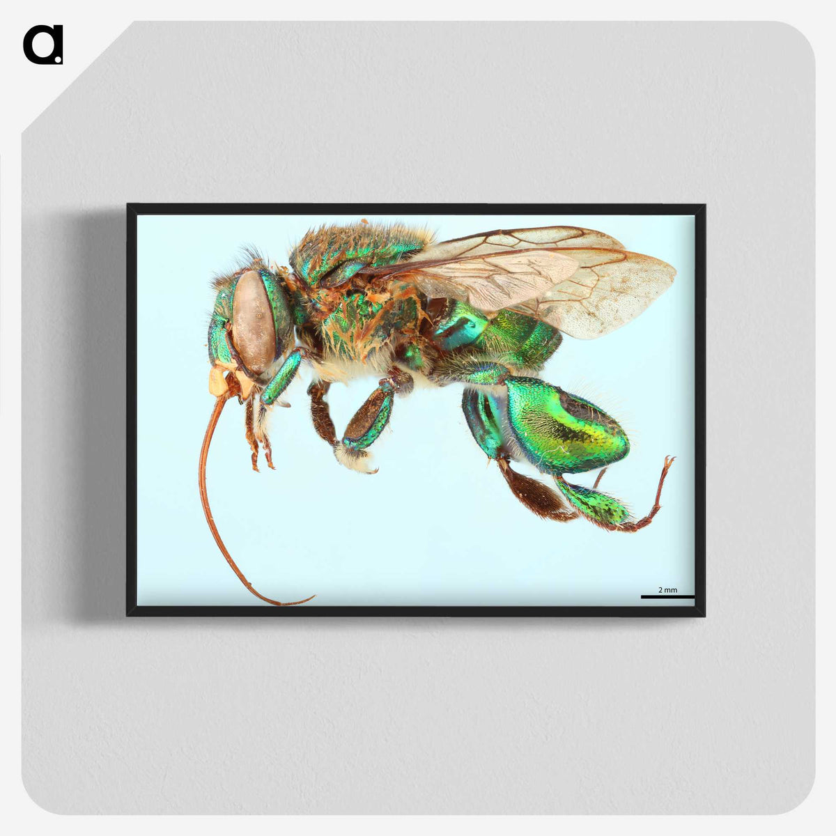 1-52_Insects-Unlocked-Project_blk-crop