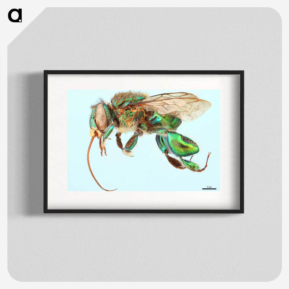 1-52_Insects-Unlocked-Project_blk