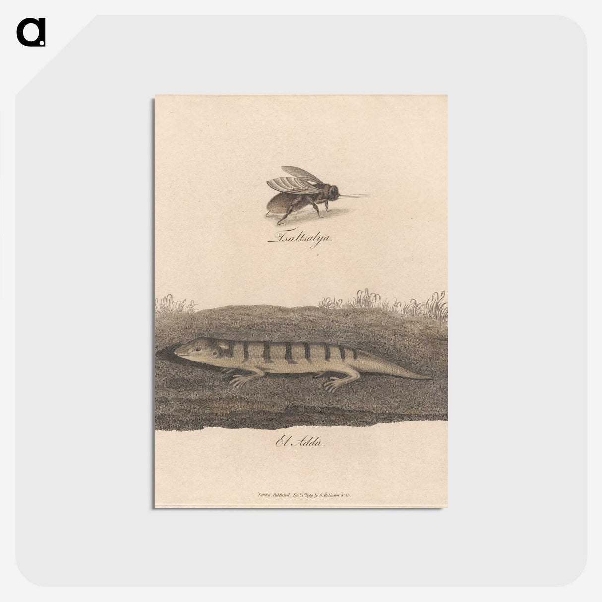 1-52_James-Heath_postcard