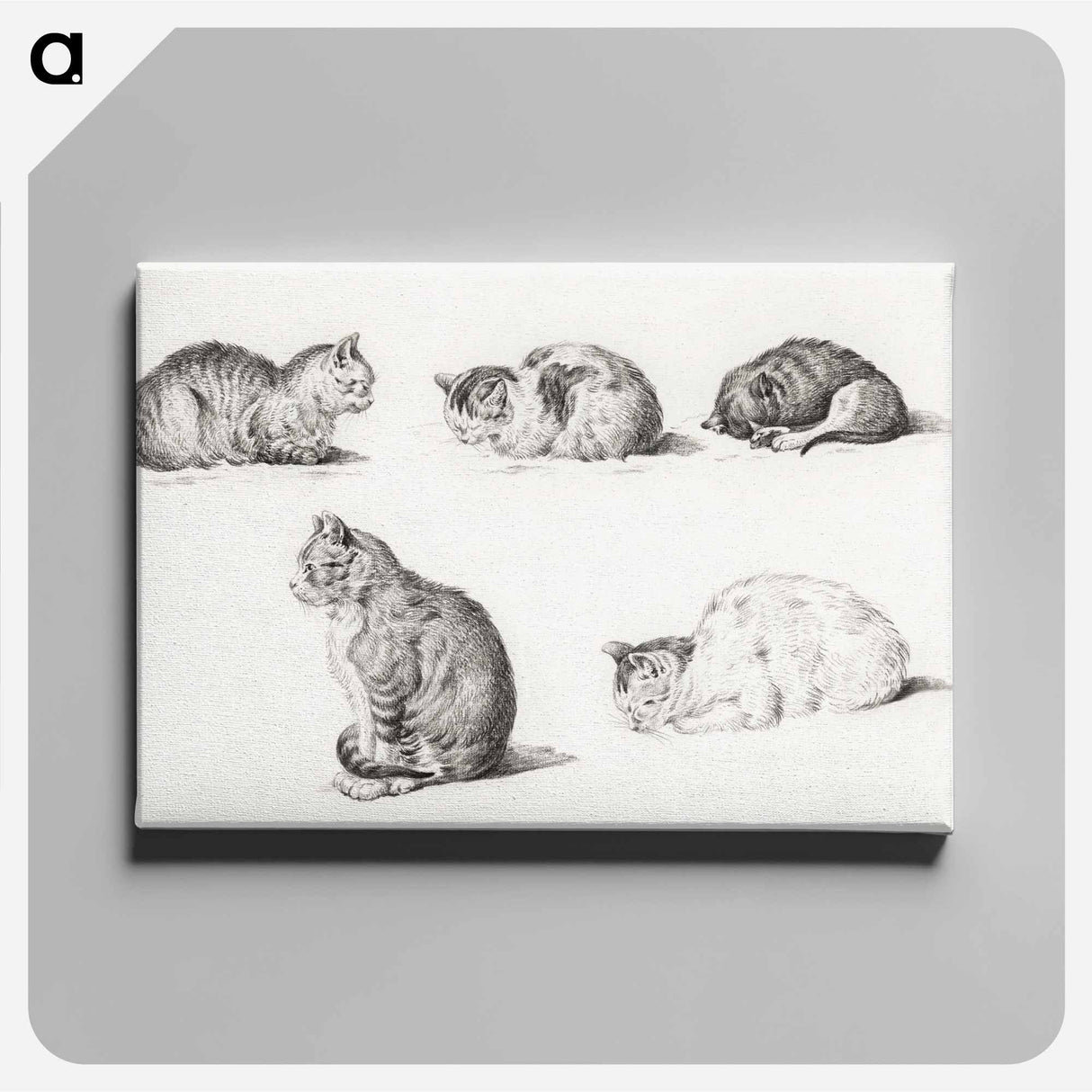 アートパネル-Five studies of Cats - ジャン ベルナール Canvas.