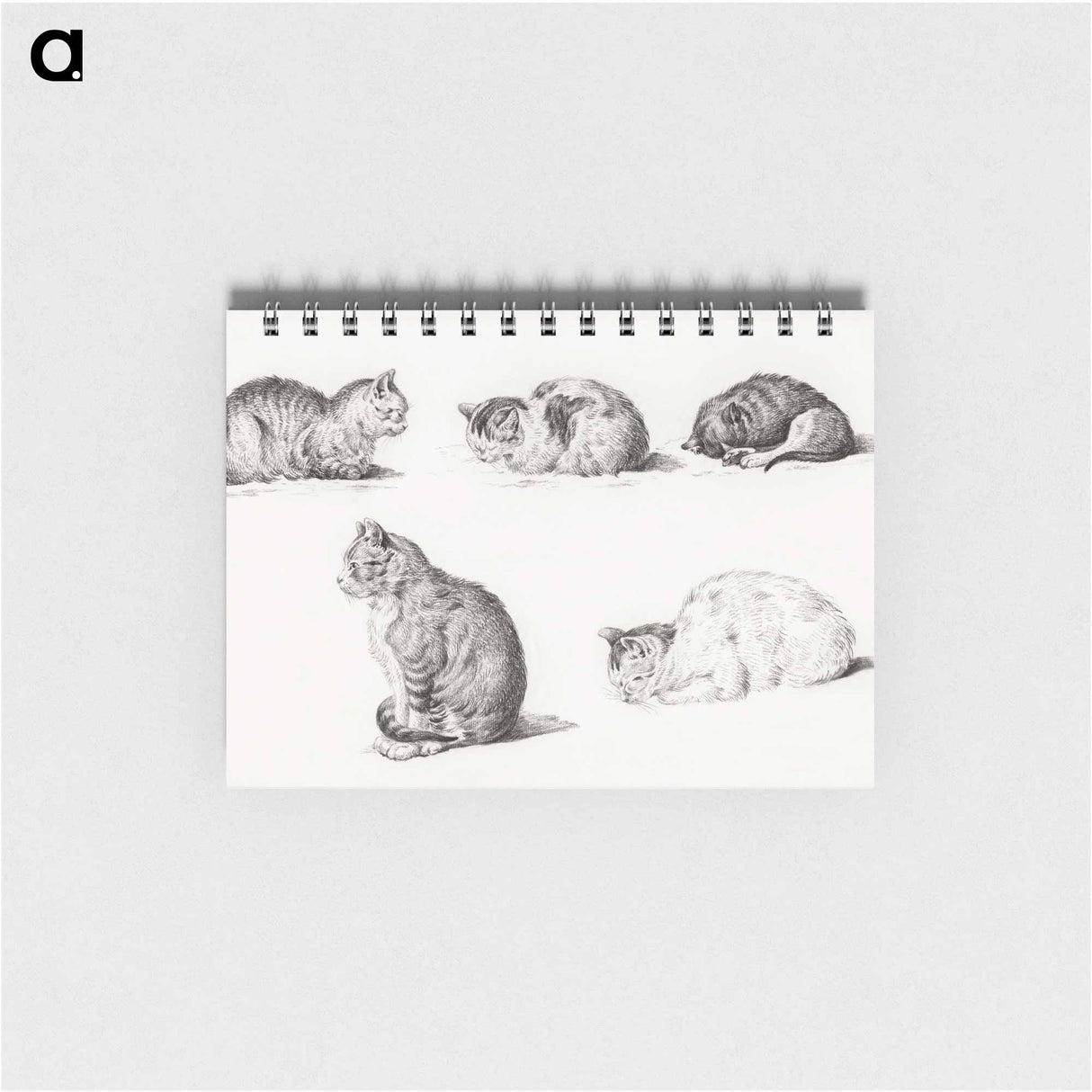 Five studies of Cats - ジャン ベルナール Memo.