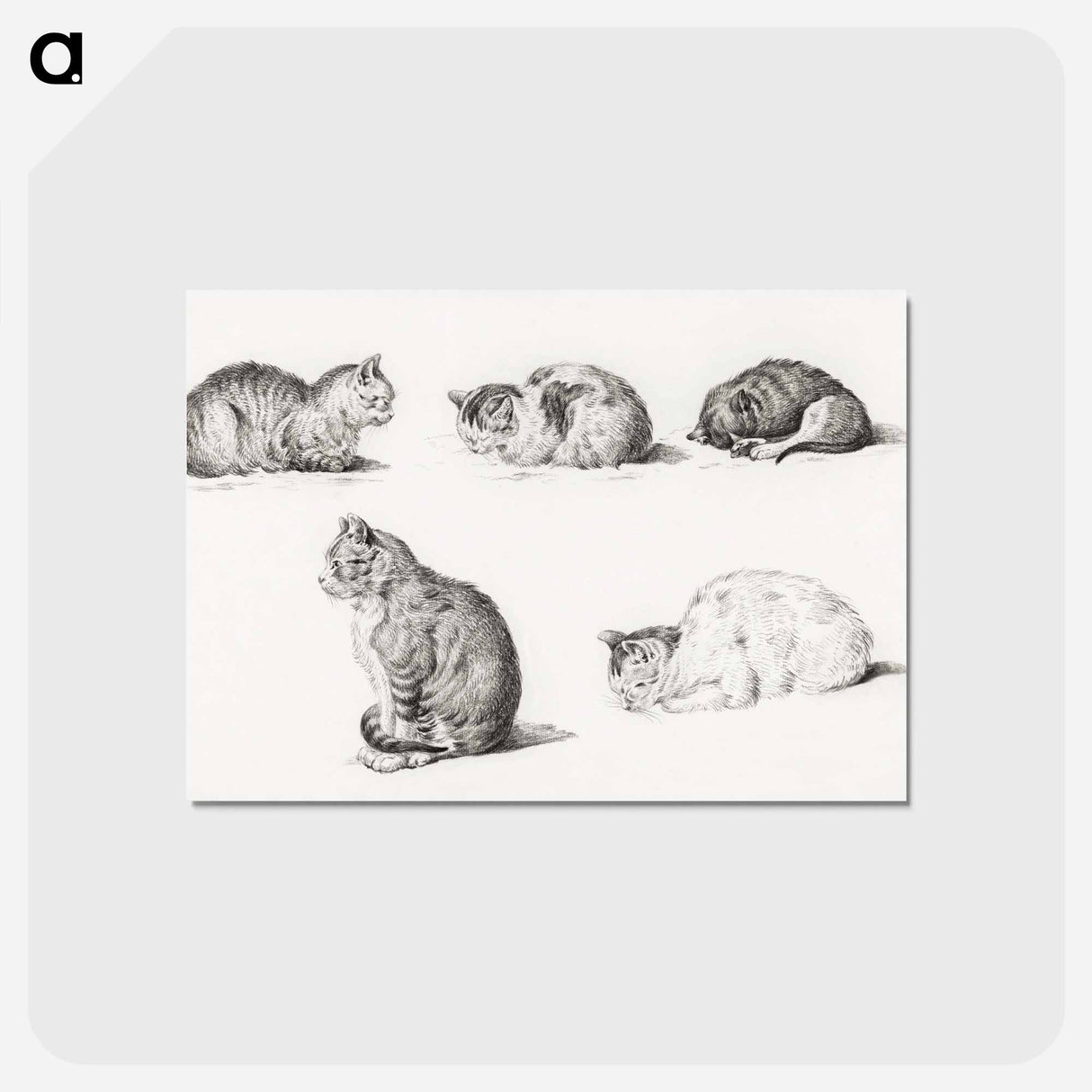 アートポストカード-Five studies of Cats - ジャン ベルナール Postcard.