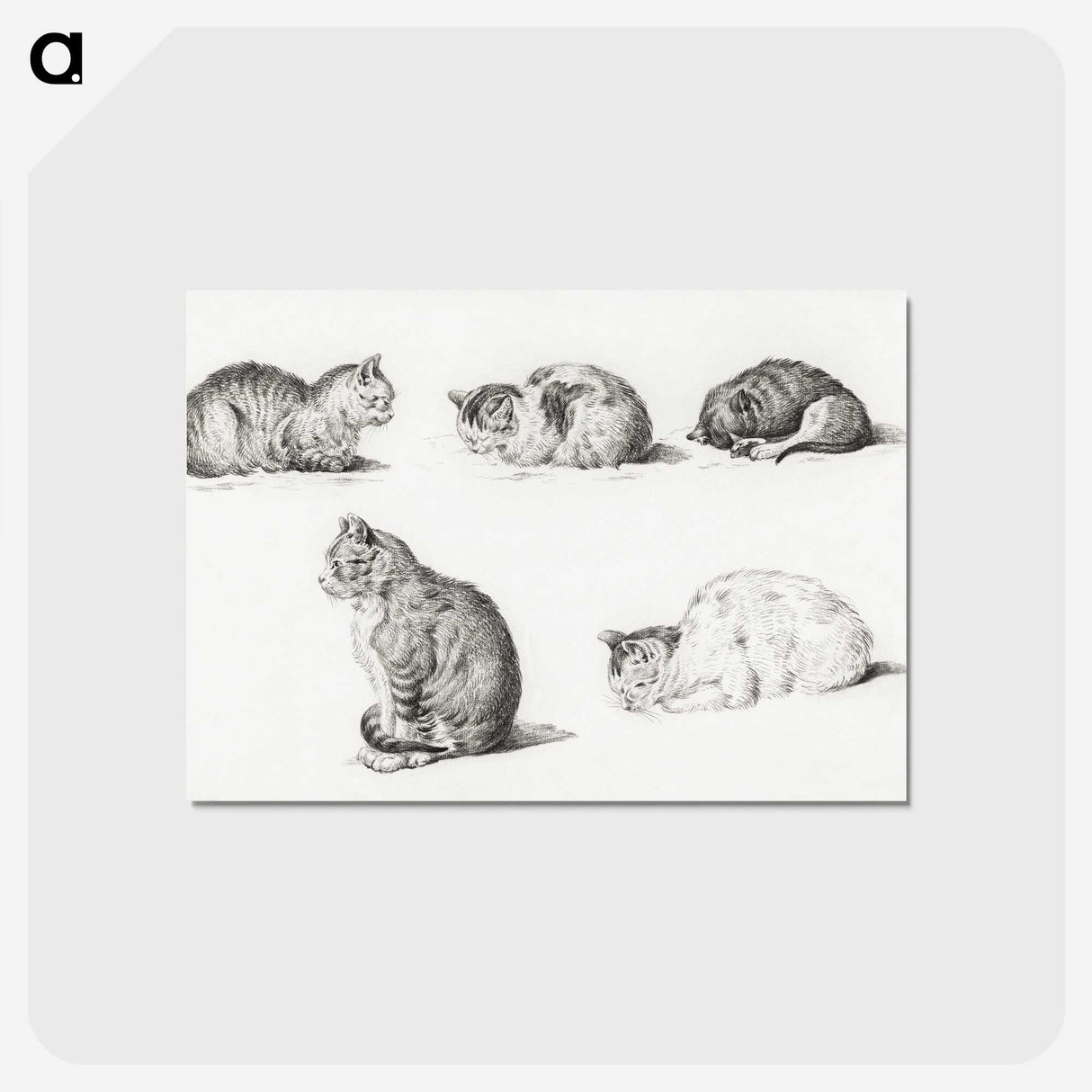 1-52_Jean-Bernard_postcard
