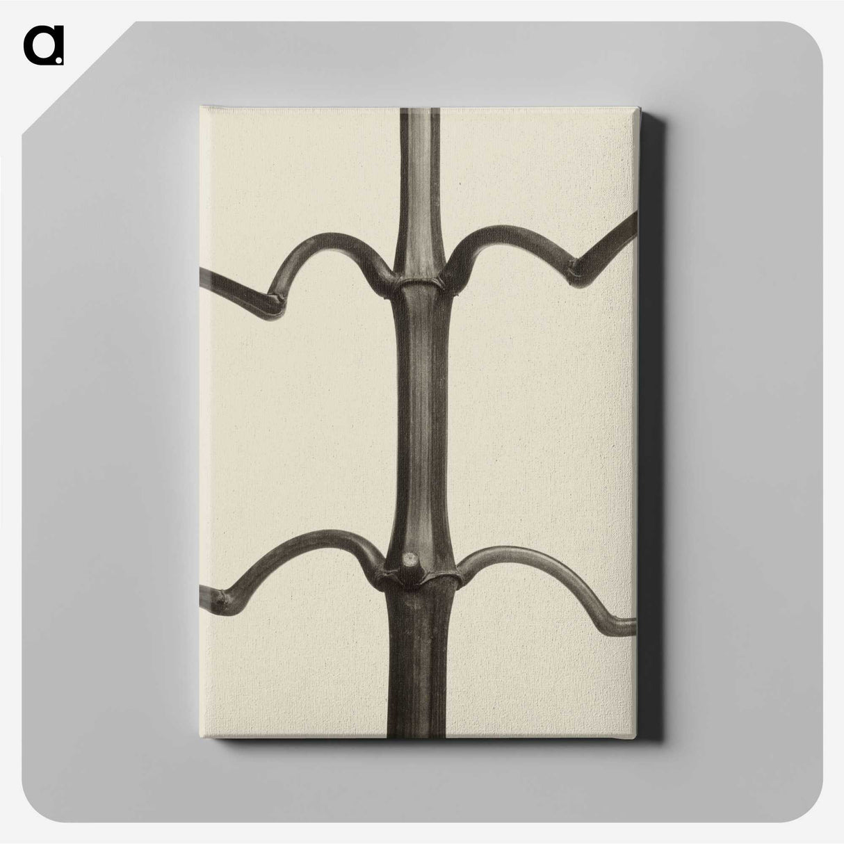 1-52_Karl-Blossfeldt_canvas