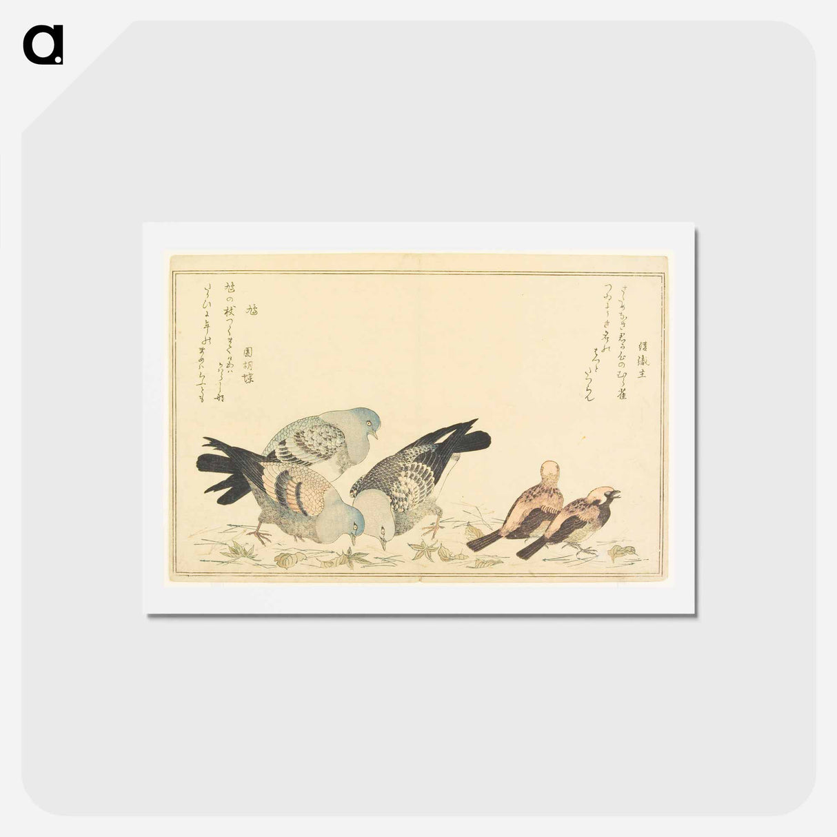 アートポストカード-Double page from a illustrated book - 喜多川 歌麿 Postcard.