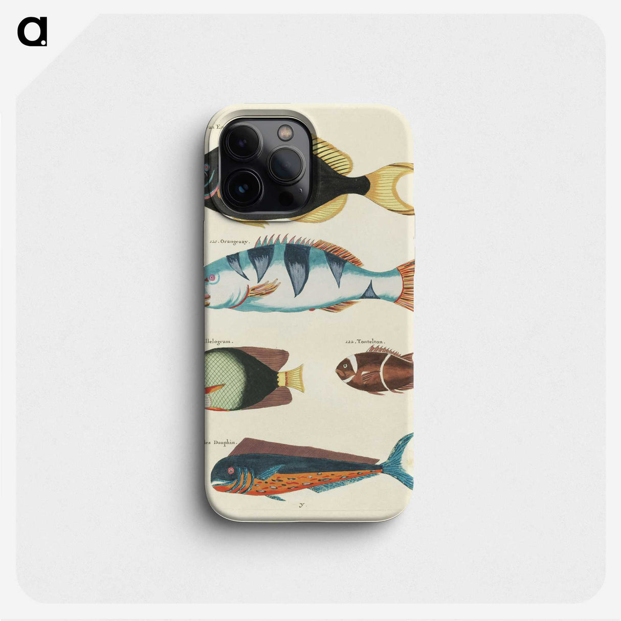 1-52_Louis-Renard_phone