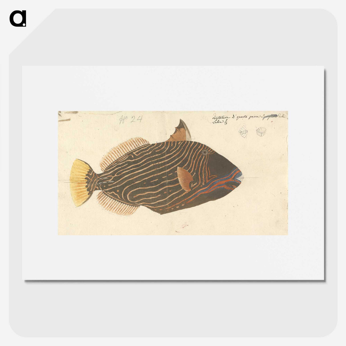 1-52_Luigi-Balugani_picture