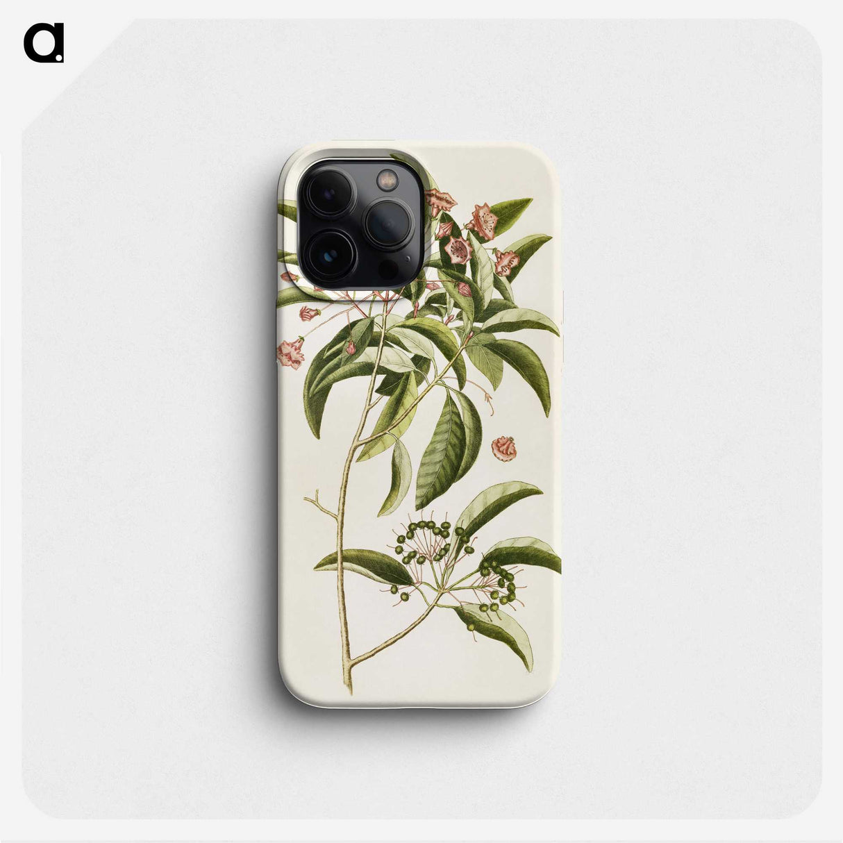 1-52_Mark-Catesby_phone