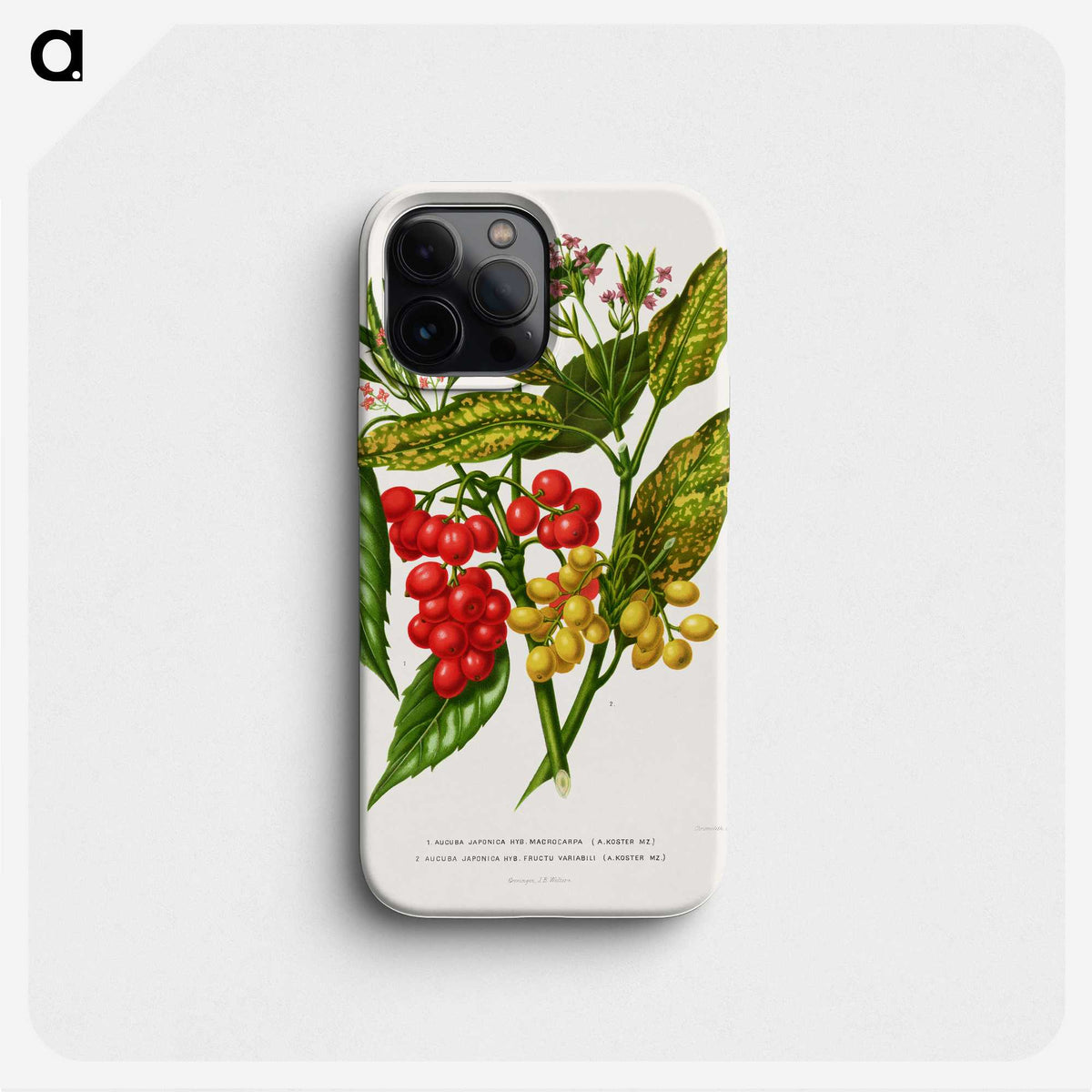 1-52_Nederlandsche-Flora-en-Pomona_phone